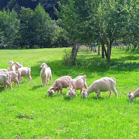 Au Mohair Des Alpy Fougax-et-Barrineuf 외부 사진